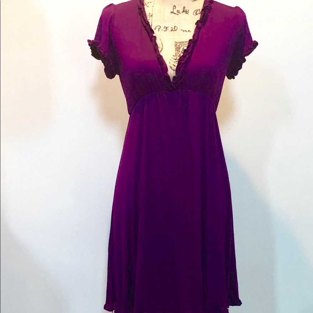 Francesca's Collection Empire Purple Dress.  NWT